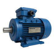 MOTOR 2 THOMPSON